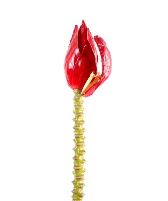 Kunstlik banaan BUNCH BLOSSOM