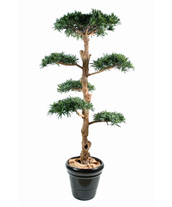 Artificial Podocarpus CLOUD TREE LARGE