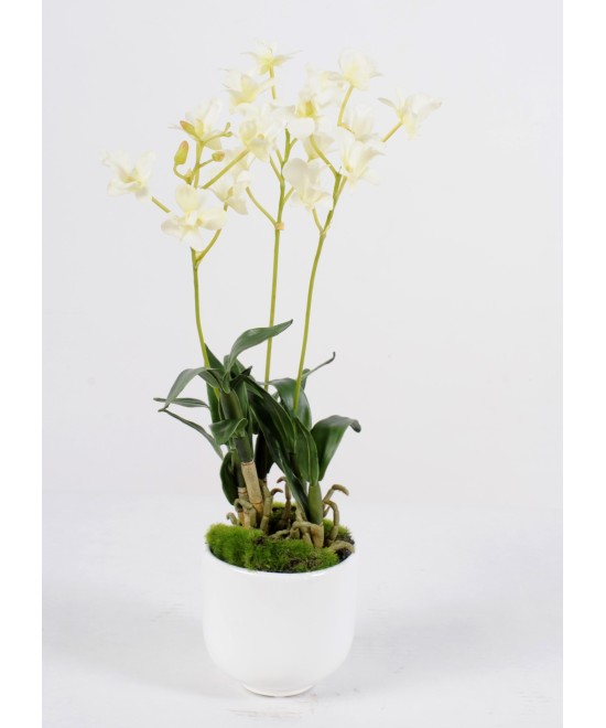Kunstlik dendrobium pott