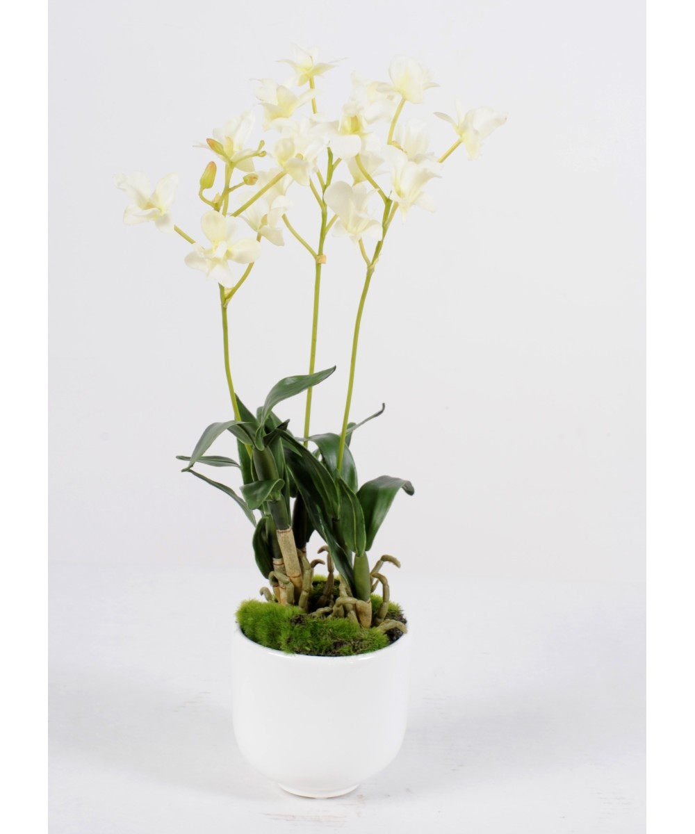 Kunstlik dendrobium pott