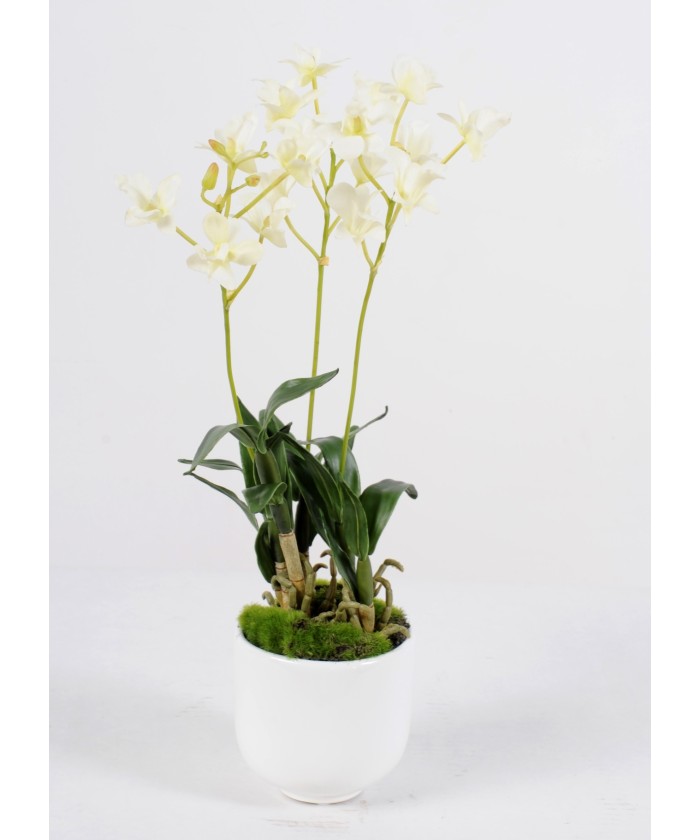 Kunstlik dendrobium pott