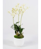 Kunstlik dendrobium pott