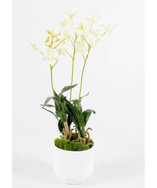 Kunstlik dendrobium pott
