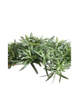 Artificial Podocarpus CLOUD TREE LARGE