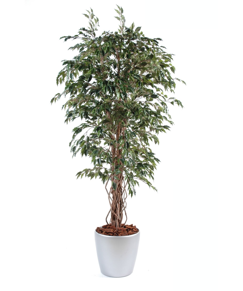Artificial Ficus CREEPERS IN ROUND POT