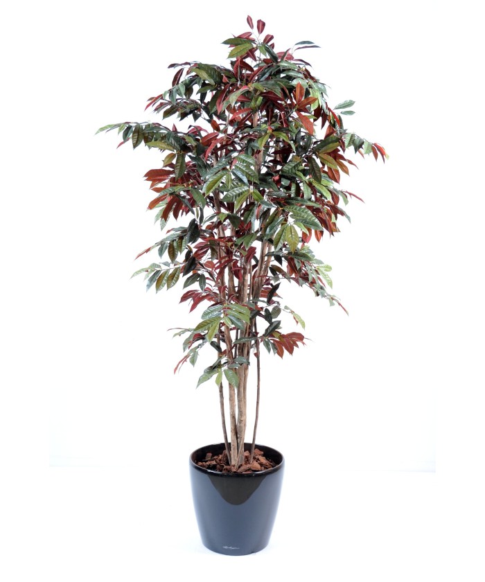 Artificial Capensia NICE IN ROUND POT