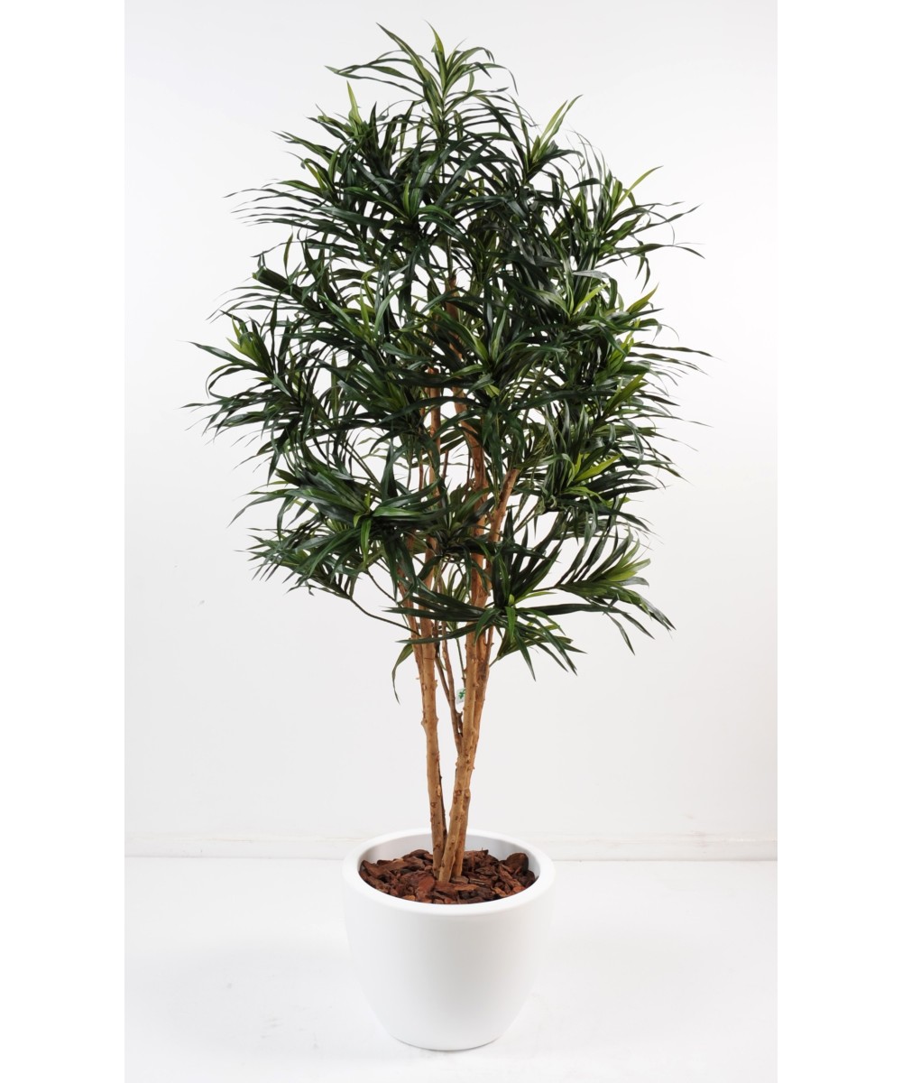 Artificial Dracaena IN ROUND POT