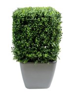 Artificial boxwood SQUARE NEW