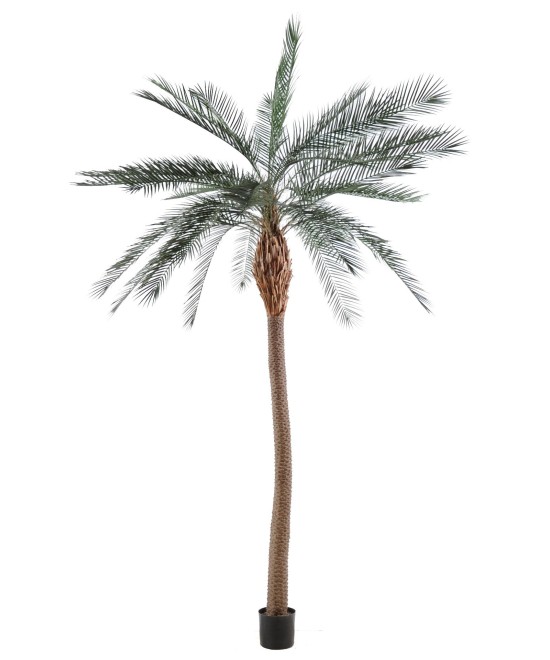 Artificial phoenix LARGE TRUNK