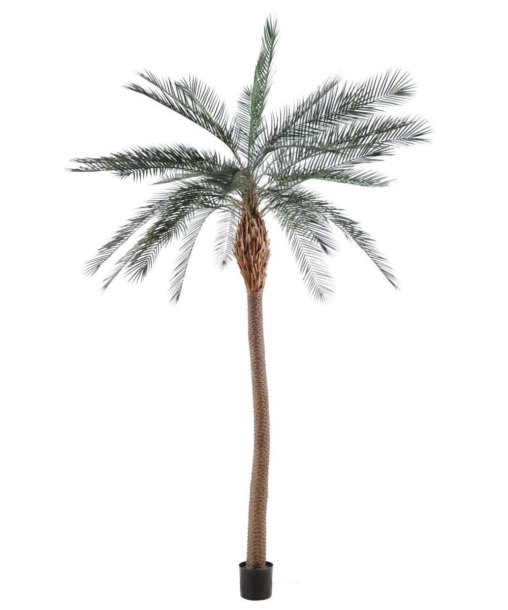 Kunst-datlipalm SUUR TÜVI