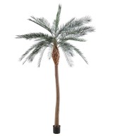 Artificial phoenix LARGE TRUNK
