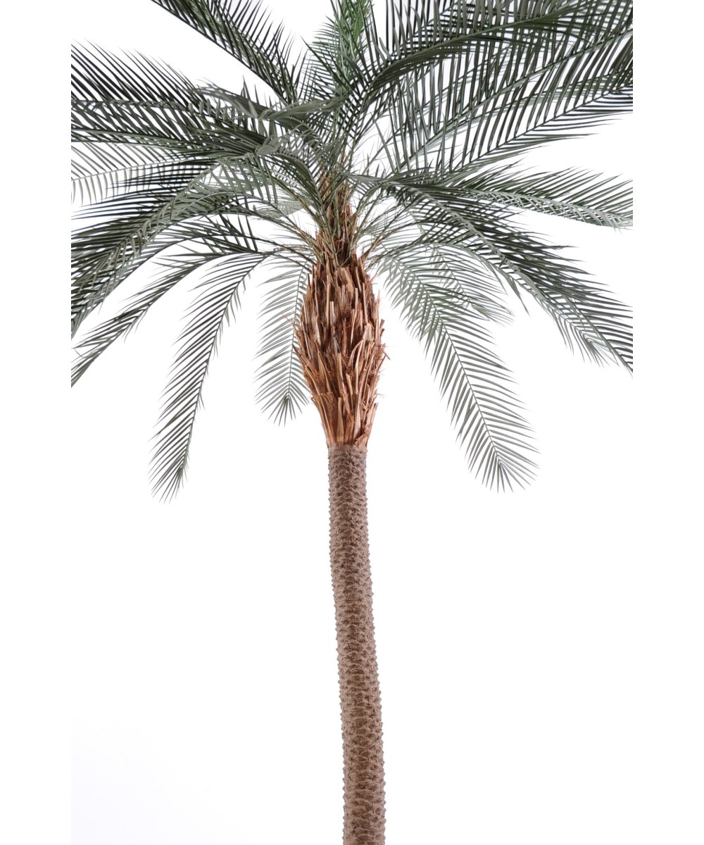 Kunst-datlipalm SUUR TÜVI
