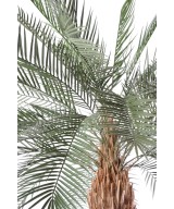 Kunst-datlipalm SUUR TÜVI