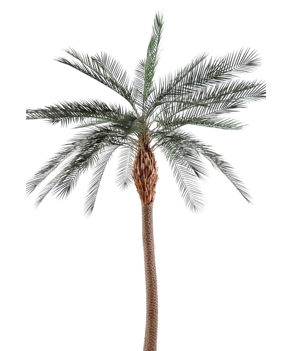 Kunst-datlipalm SUUR TÜVI