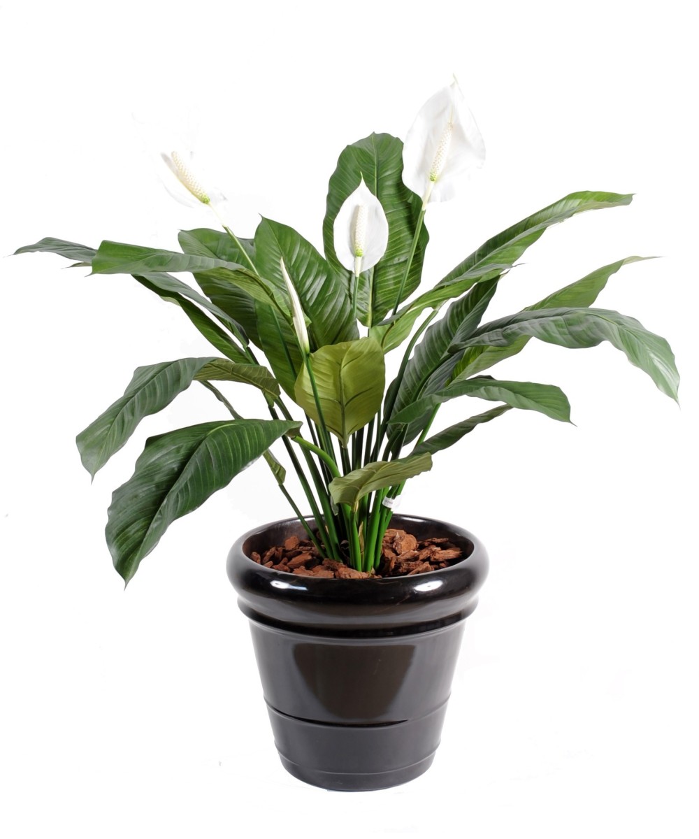 Artificial Spathiphylium (Peace Lily) 4FL POT