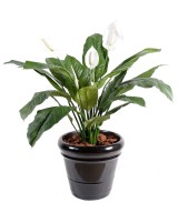 Artificial Spathiphylium (Peace Lily) 4FL POT