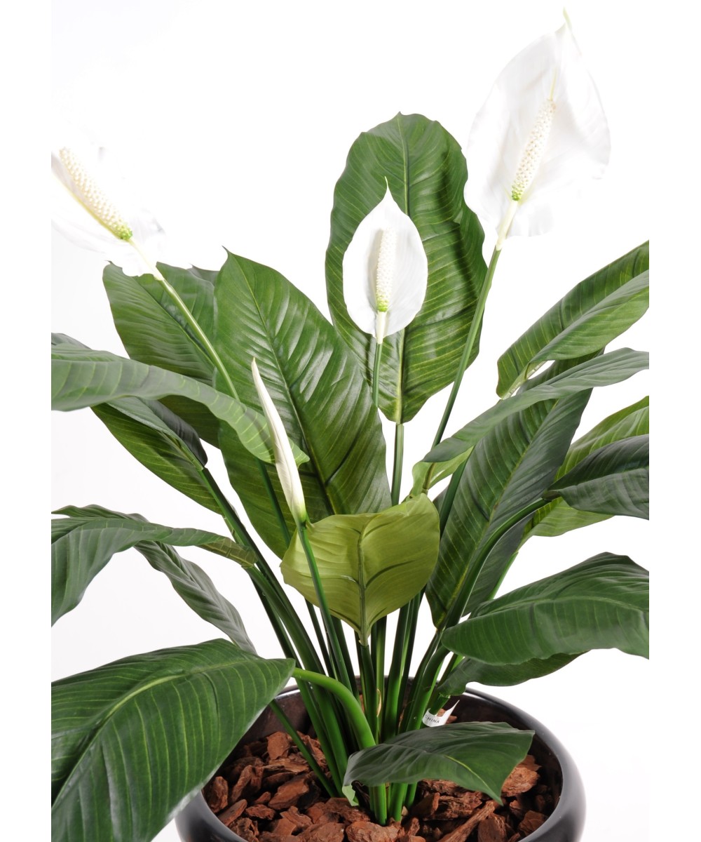 Artificial Spathiphylium (Peace Lily) 4FL POT