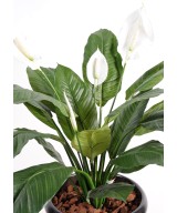 Kunstlik Spathiphylium (rahuliilia) 4FL pott