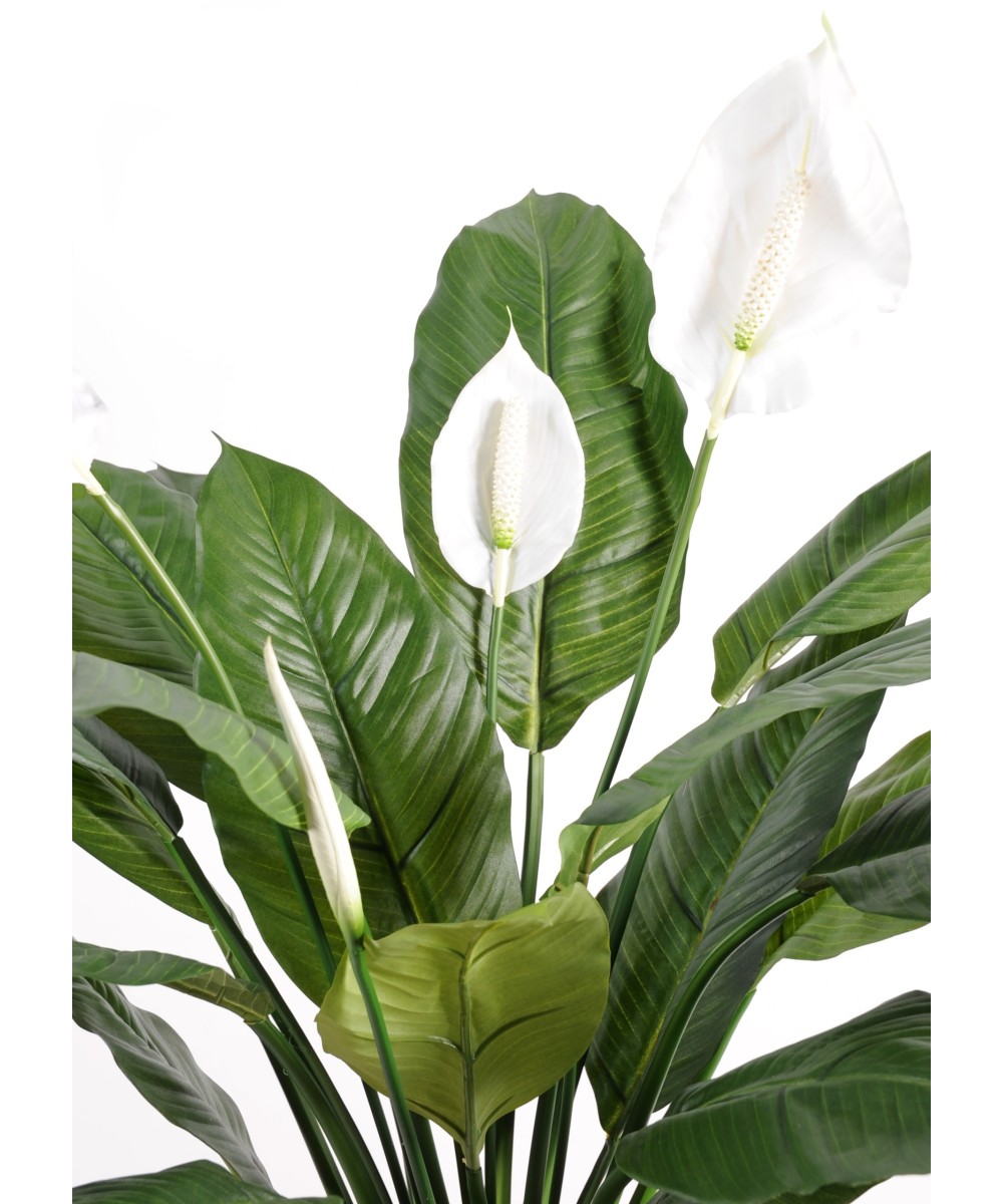 Kunstlik Spathiphylium (rahuliilia) 4FL pott