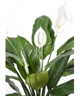 Kunstlik Spathiphylium (rahuliilia) 4FL pott