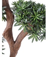 Artificial Podocarpus TREE