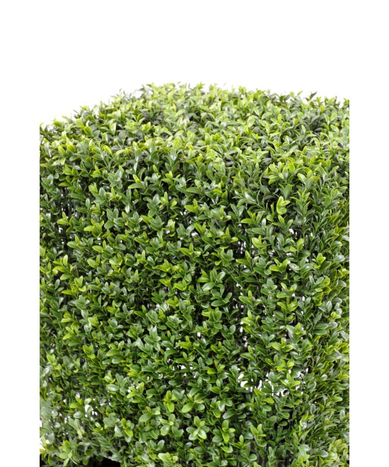 Artificial boxwood SQUARE NEW