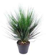 Artificial ROUND Onion Grass