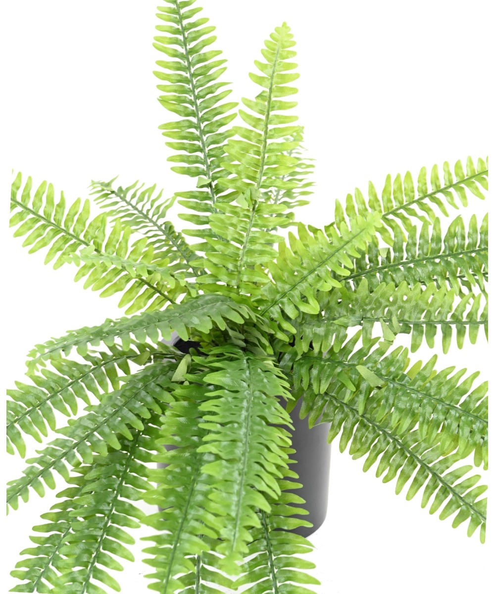 Artificial BOSTON fern