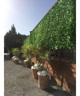 Kunstvõrk HORNBEAM puu 200*300