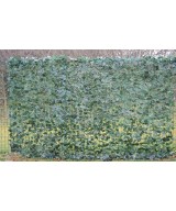 Kunstluuderohi NET 200*300