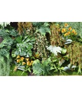 Artificial green wall PLANTS 200*200