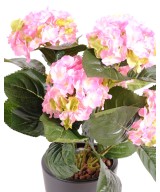 Artificial hydrangea 3*2