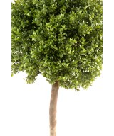 Artificial boxwood STEM BALL NEW