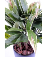 Artificial Dracaena CORDYLINE TUFT