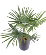 Artificial palm tree BABY