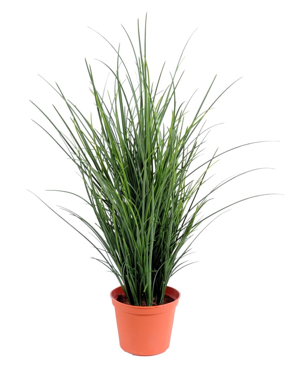 Artificial grass FINE POT