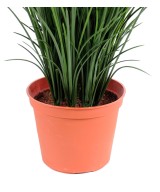 Artificial grass FINE POT
