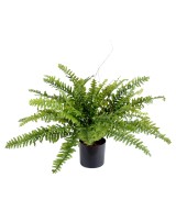 Artificial fern BOSTON *42 IN POT