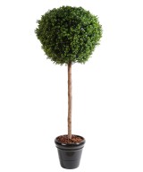 Artificial boxwood STEM BALL NEW