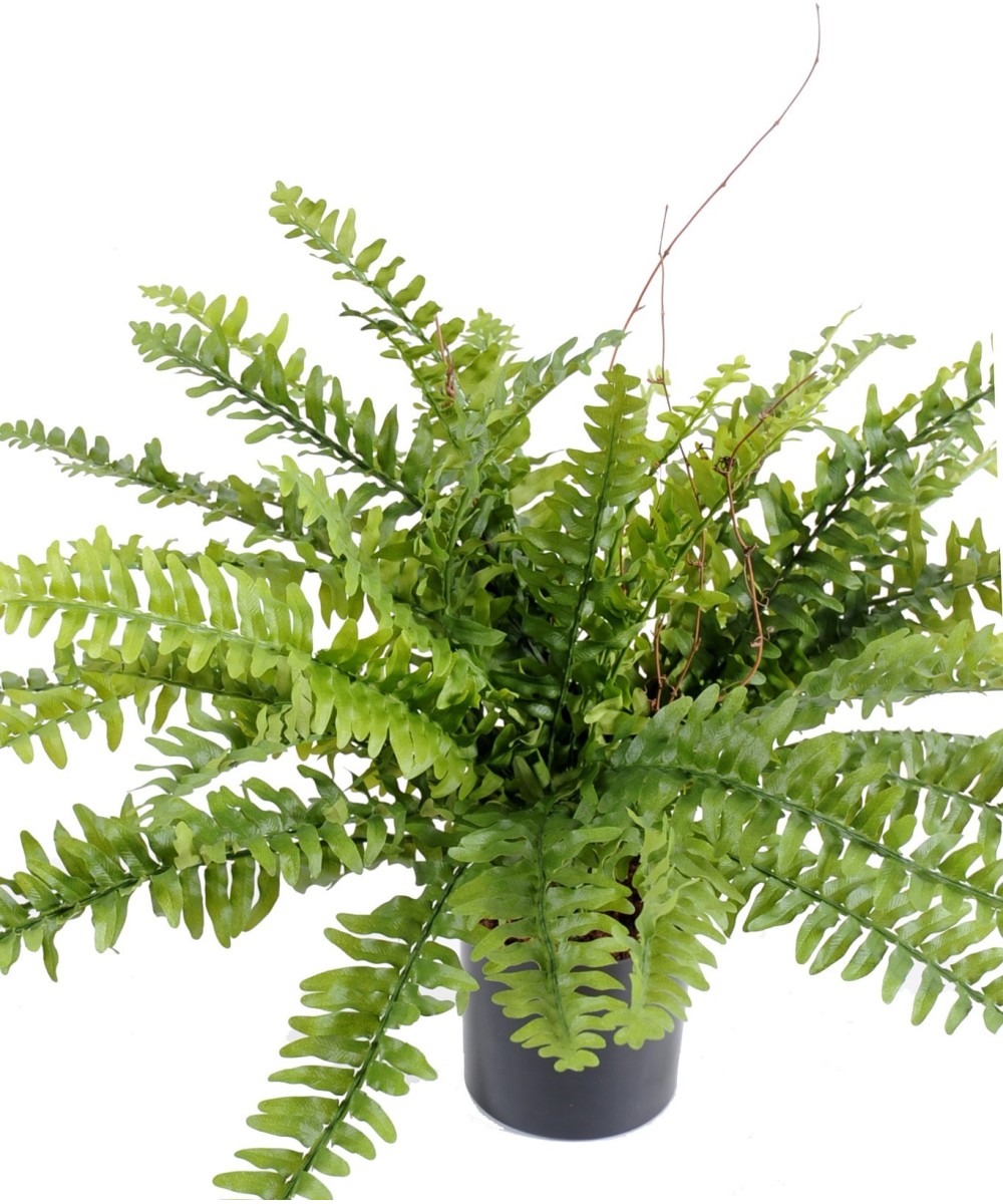 Artificial fern BOSTON *42 IN POT