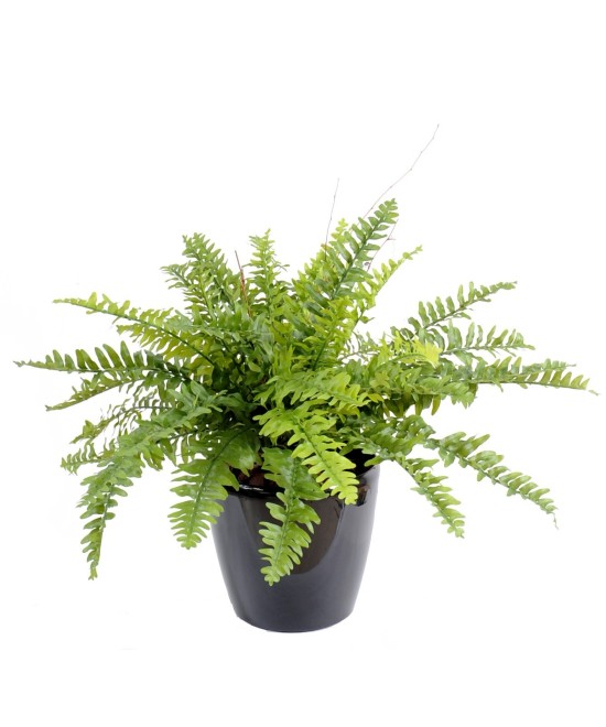 Artificial fern BOSTON *42 IN POT