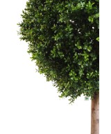 Artificial boxwood STEM BALL NEW