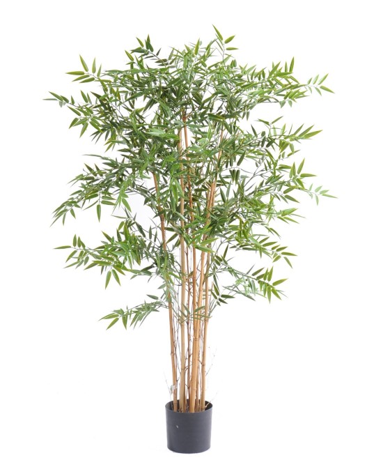 Kunstbambus JAAPANI plast UV