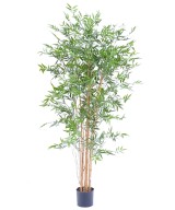 Kunstbambus JAAPANI plast UV