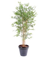 Kunstbambus JAAPANI plast UV