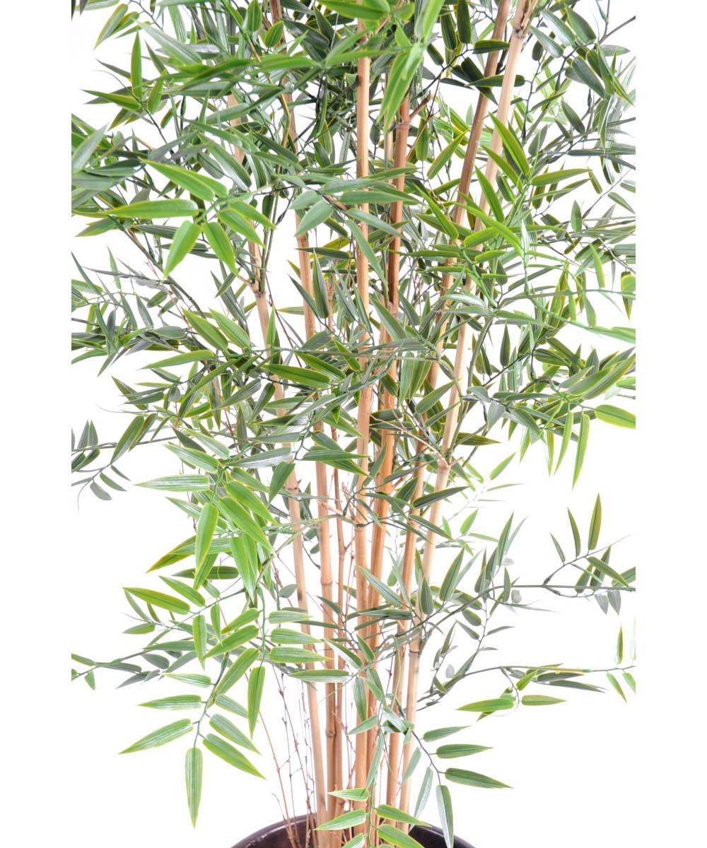Artificial Bamboo JAPANESE PLAST UV