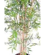 Kunstbambus JAAPANI plast UV
