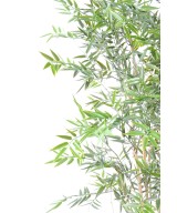 Kunstbambus JAAPANI plast UV