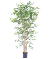 Kunstbambus JAAPANI plast UV