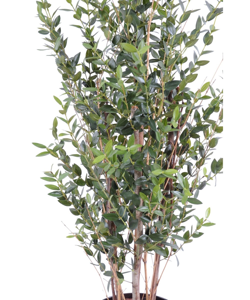 Artificial Eucalyptus Mini Bush 130 cm